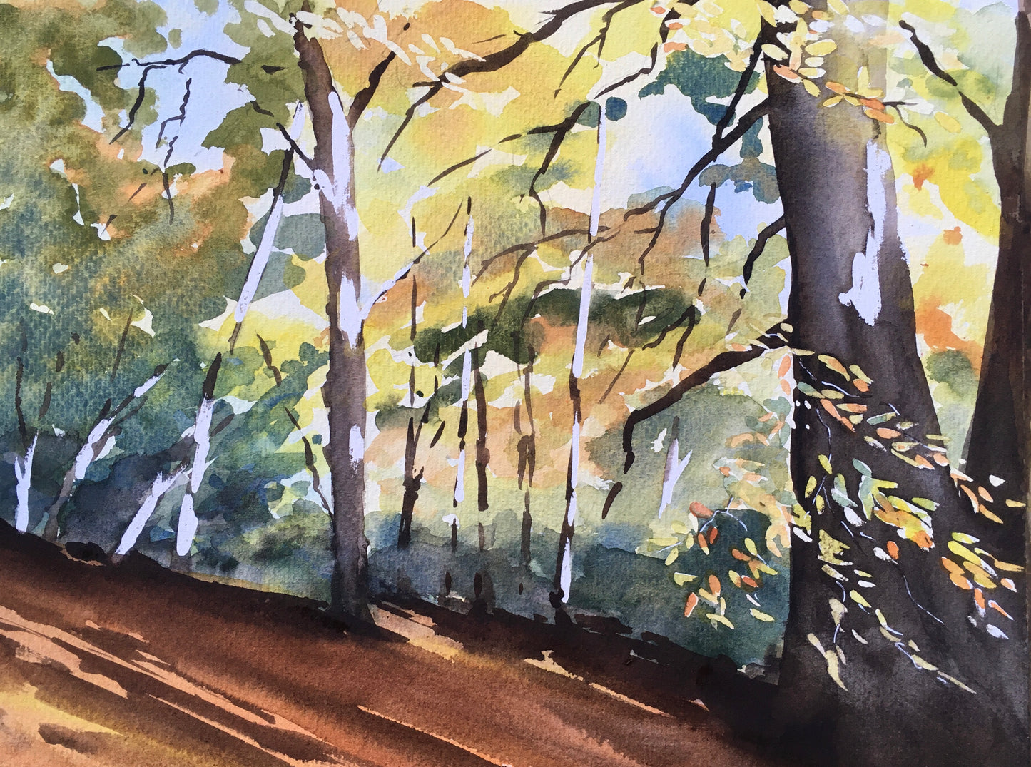 Autumn Colours