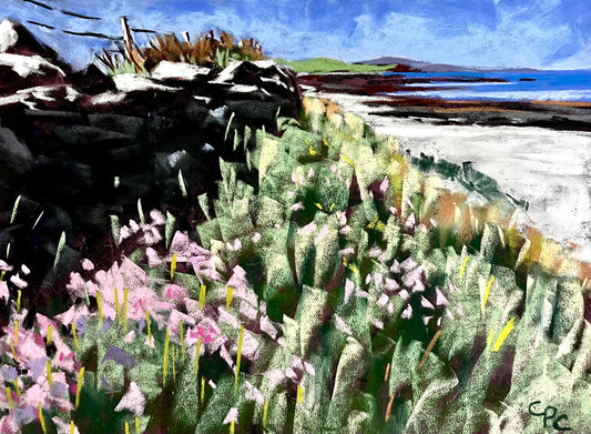 Pinks at Cemlyn - Angelsey