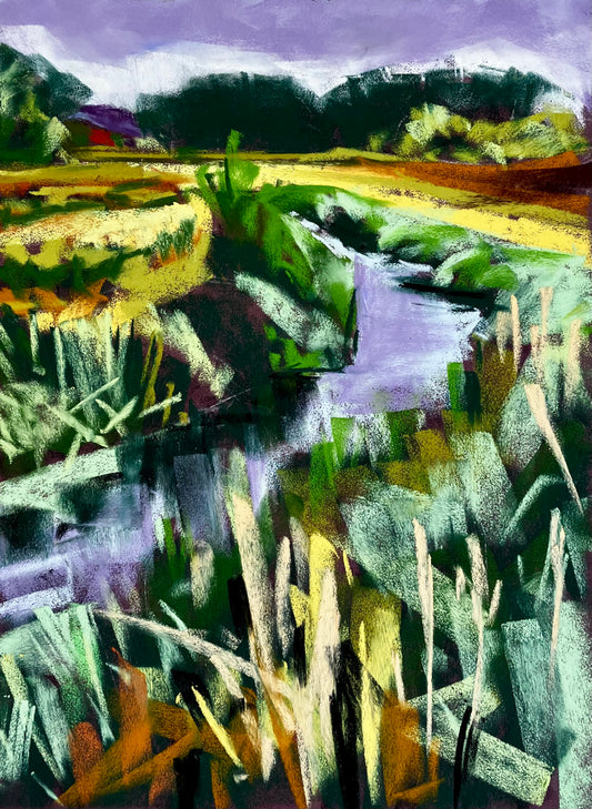 Reeds and Reflections