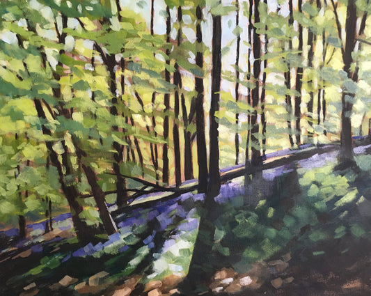 Spring Light Parc Mawr Woods