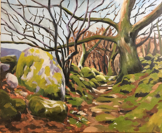 Sunken Path At Rowen